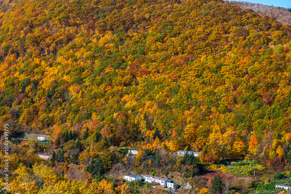 Fototapeta premium Beautiful Cape Breton Island and National Park in Nova Scotia, Canada