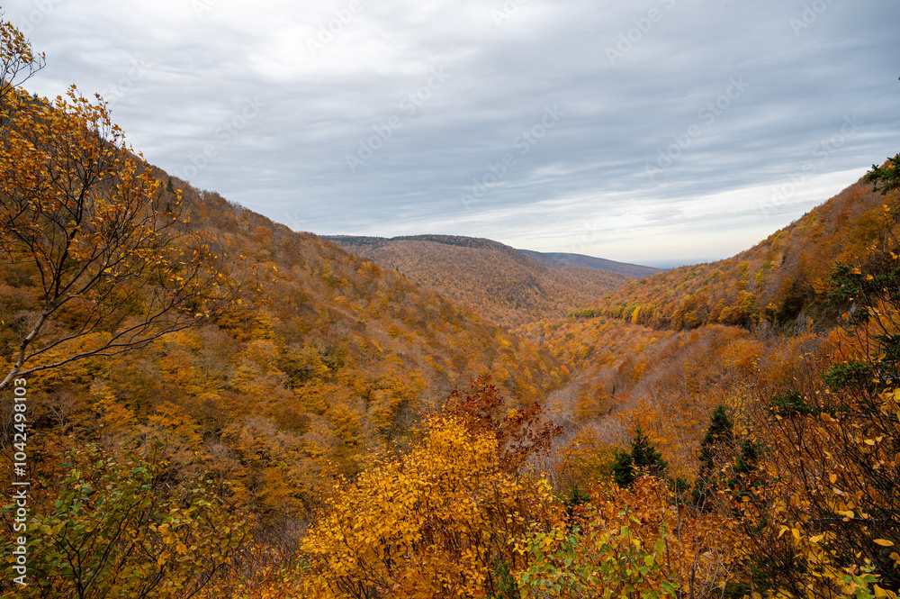 Beautiful Cape Breton Island and National Park in Nova Scotia, Canada Beautiful Cape Breton Island and National Park in Nova Scotia, Canada