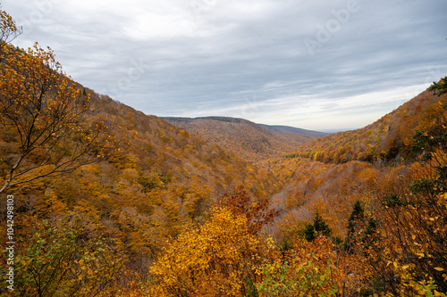 Beautiful Cape Breton Island and National Park in Nova Scotia, Canada photo