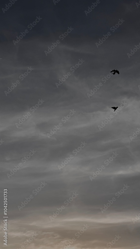 Fototapeta premium flying over the storm