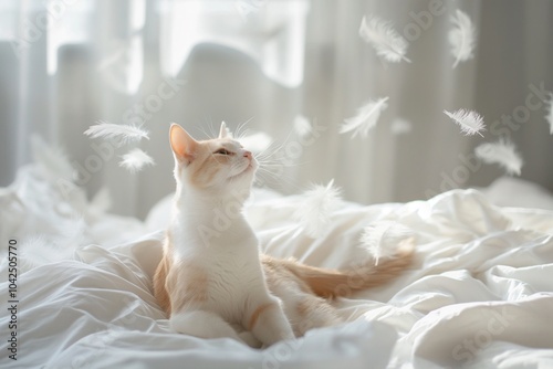A Orange tabby cat plays mischievously on a white bed. The cat bit the pillow and White duck feathers flew into the air.