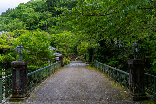 Bridge in the forest