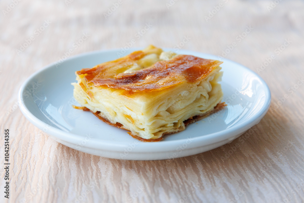 Delicious Turkish Tray pastry, Su boregi with cheese. Adana borek on white plate. Side view close up Delicious Turkish Tray pastry, Su boregi with cheese. Adana borek on white plate. Side view close up