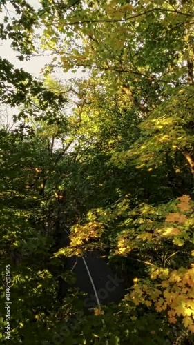 A first-person view FPV drone flight through a colorful autumn forest. The drone flies through the trees, capturing the vibrant fall foliage.