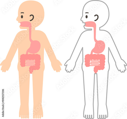 人の体と消化器、胃腸のデフォルメイラスト
