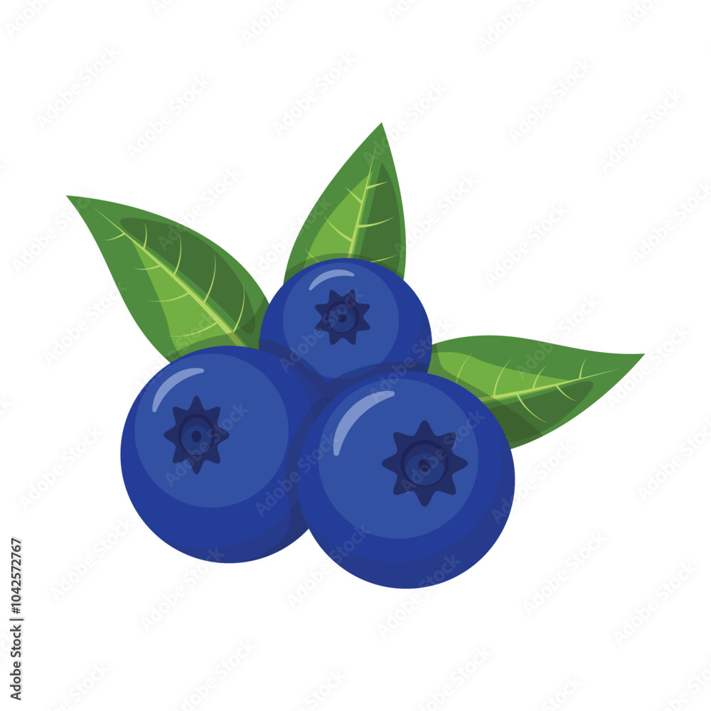 Blueberry vector. Blueberry isolated on white background. Blueberry vector. Blueberry isolated on white background.