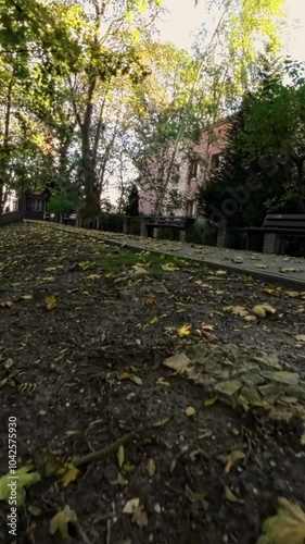 A first-person view FPV flight through a park in autumn. The video is full of vibrant fall colors, as the trees are ablaze with yellow and red leaves. The drone flies through the trees, providing a