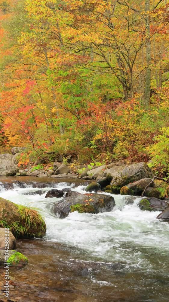 vertical video of waterfall in autumn forest vertical video of waterfall in autumn forest