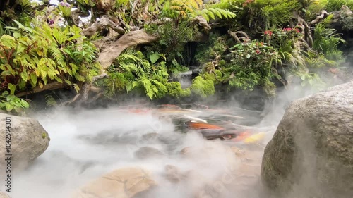 fish pond with mist effect surrounded by rocks