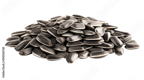 High-Quality PNG sunflower seed; isolated on white background; full depth of field – High Resolution