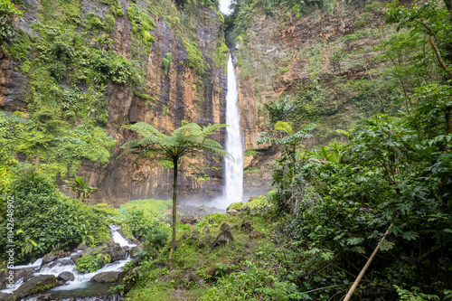 A majestic waterfall, known as Kapas Biru, cascades down a towering cliff in the lush rainforests of East Java, Indonesia. Surrounded by vibrant greenery and a misty atmosphere photo