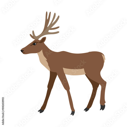 vector drawing animal, deer isolated at white background