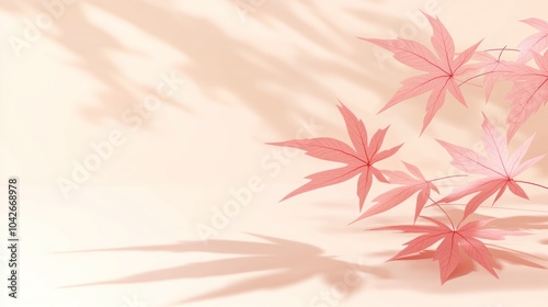 Delicate pink maple leaves casting soft shadows on a light background.