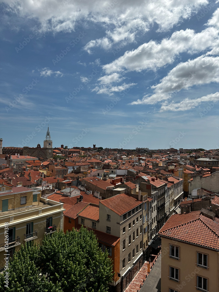 Obraz premium Perpignan