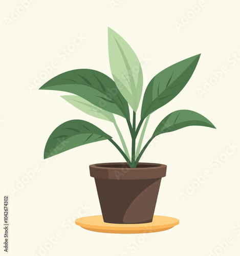 Houseplant in a Pot with a Saucer  
