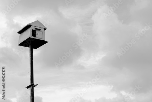 owl birdhouse on the sky