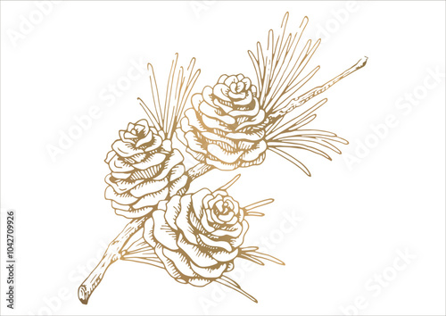 Obraz na płótnie 松ぼっくりと枝葉の線画イラスト 秋から冬の植物 金色のベクター素材 w salonie
