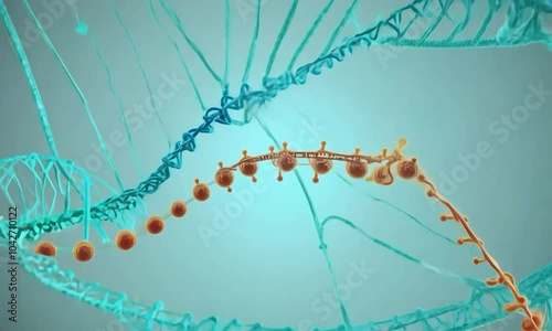 Zoom shot with DNA gene expression: The camera starts with a view of a cell undergoing gene expression. The camera zooms in to show the transcription of DNA into mRNA and the subsequent translation in