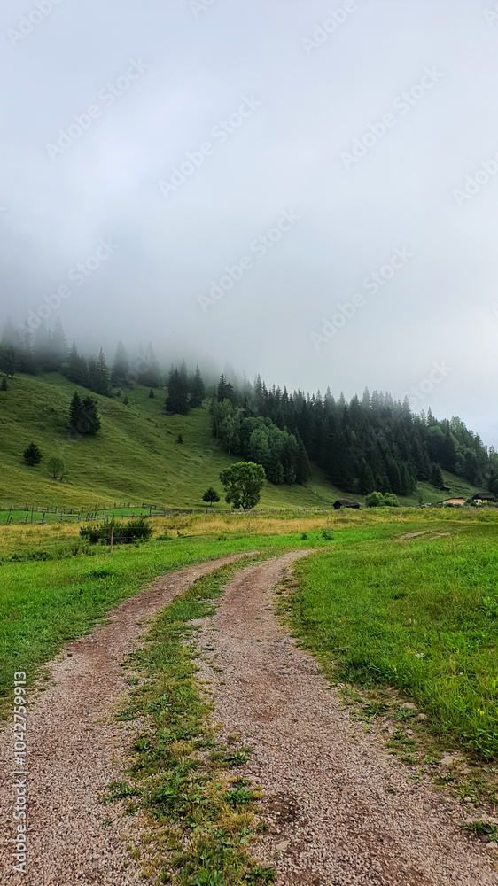 Fototapeta premium A winding dirt road leads through a lush green meadow towards a forested hillside shrouded in mist during summer in Bucovina region of Romania.