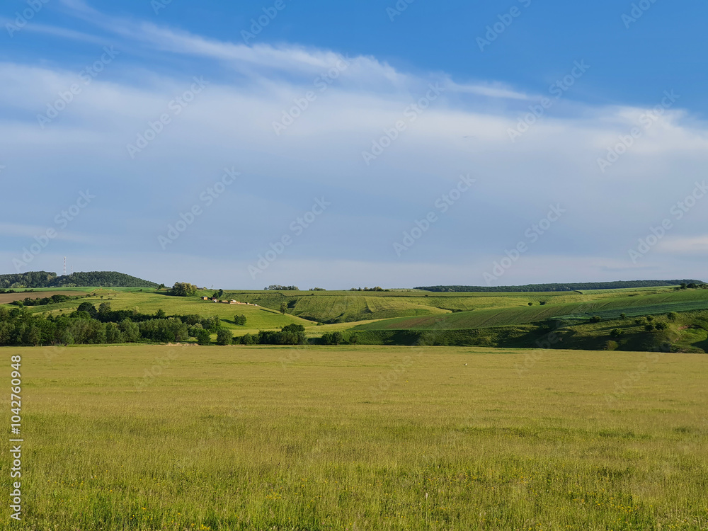 Lush green meadow with agriculture fields on the hills in the background during summer in Romania Lush green meadow with agriculture fields on the hills in the background during summer in Romania