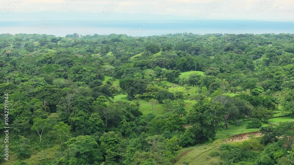 This aerial photo showcases the lush greenery and stunning coastline of Playa Santa Teresa, Costa Rica, perfect for nature lovers and adventurers seeking natural beauty and relaxation This aerial photo showcases the lush greenery and stunning coastline of Playa Santa Teresa, Costa Rica, perfect for nature lovers and adventurers seeking natural beauty and relaxation