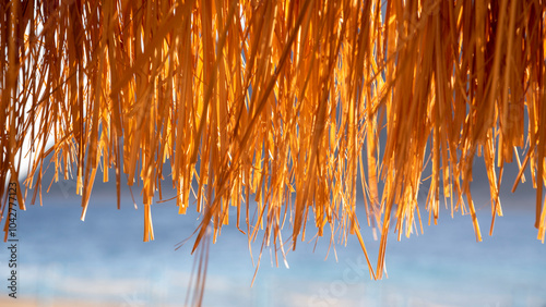 Thatching straw roof, from dry grass isolated on white background, of the bar on the beach during the holiday season.with clipping path
