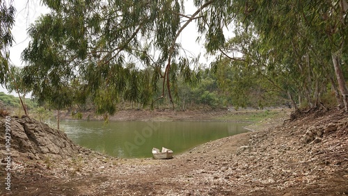 lake in the forest