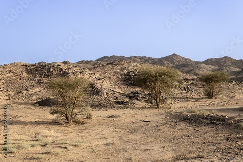 Desert landscape with lava rock outcrops in Riyadh Province, Saudi Arabia