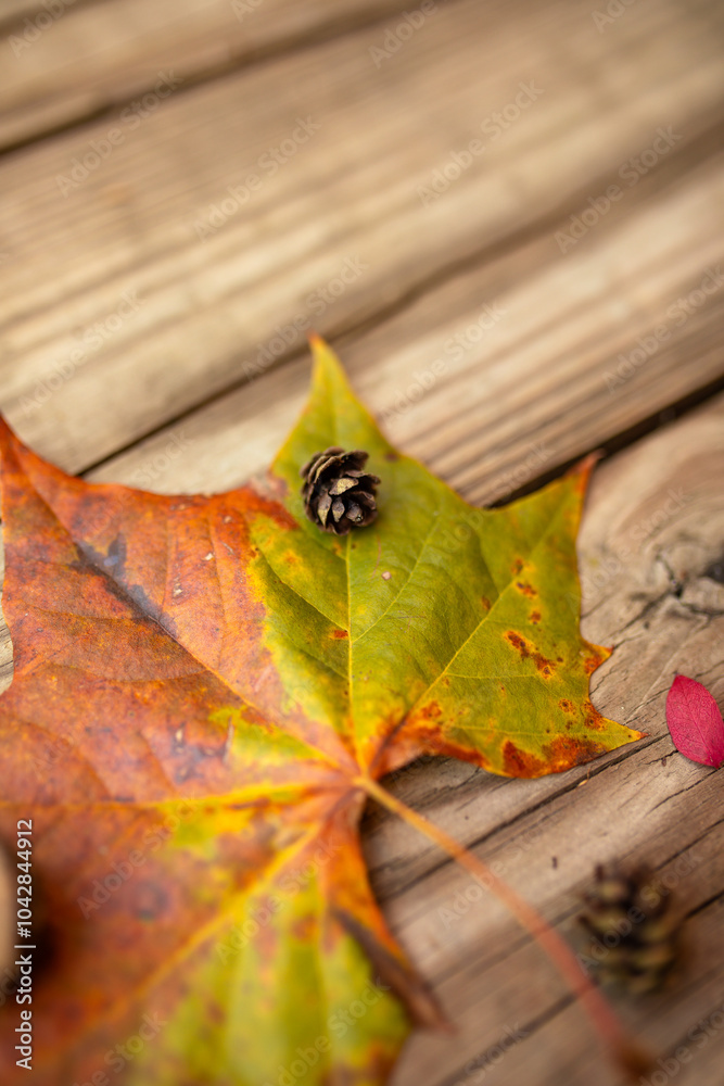 Obraz premium Close-up of fall maple leaf and small pine cone against wooden surface