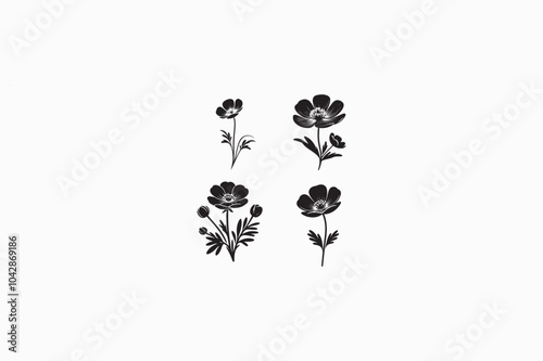 A Buttercup flower vector silhouette image made by adobe illustrator.eps