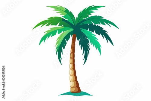 Palm tree isolated on white background