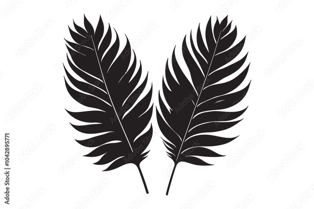 Fototapeta premium tropical two separated black leaf silhouette 57.eps