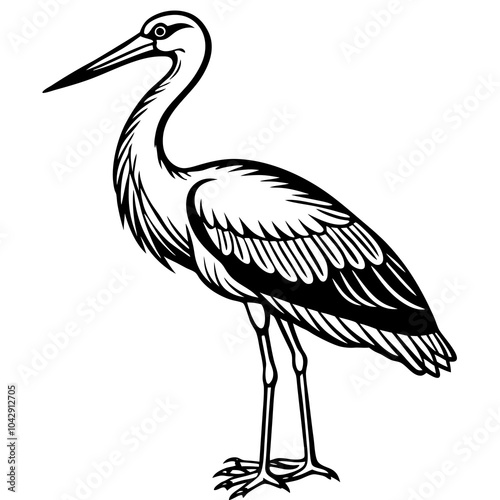 stork on a white background