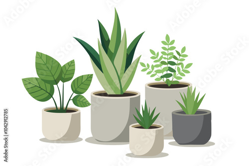 Indoor Plants in Concrete Pots, isolated on white background.