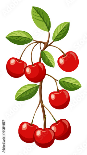 red cherry with leaves, cherry vector art