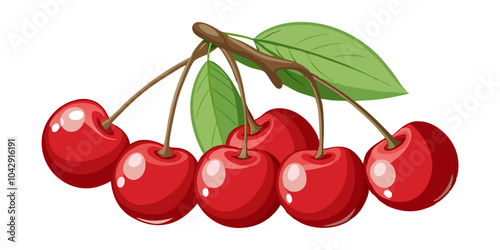 cherries on a branch, cherries on white background, vector art of charry.