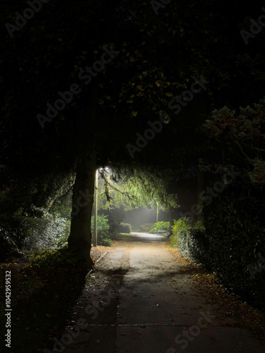 Early morning in Solihull, Midlands, England photo