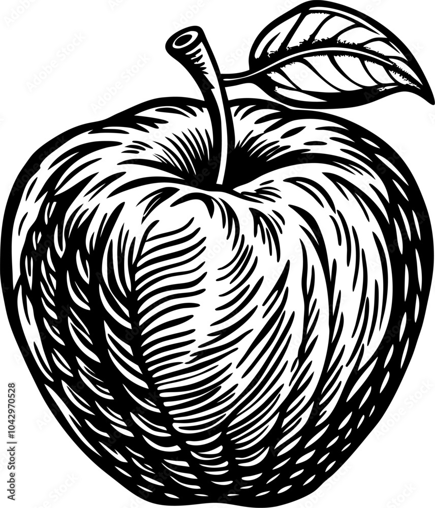 Detailed Black and White Engraving Style Apple Illustration Detailed Black and White Engraving Style Apple Illustration