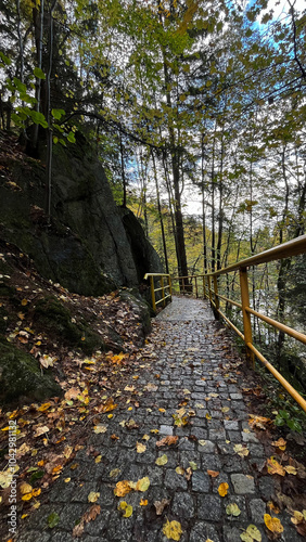 Cobblestone path in the park with autumn colorful fallen leaves. Promenade in the mountains of Poland