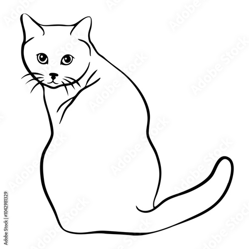 Cat Line Art Illustration