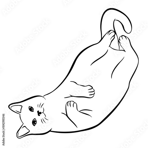 Kitty Cat