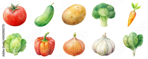 Fresh vegetables including tomato, broccoli, carrot and bell pepper in watercolor illustration set. Collection of garden produce isolated on transparent background.