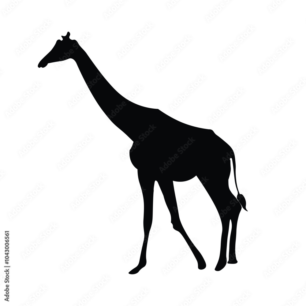Silhouette of a giraffe. vector illustration,Black giraffe icon on white background Silhouette of a giraffe. vector illustration,Black giraffe icon on white background
