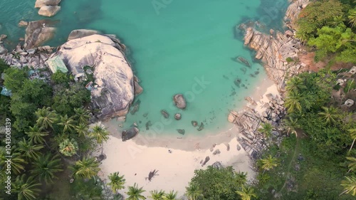 Aerial view of a tropical beach with palm trees and rocks