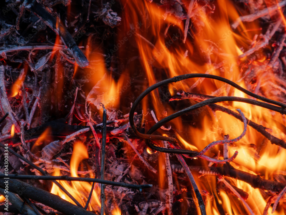 close-up of a roaring bonfire with flames close-up of a roaring bonfire with flames
