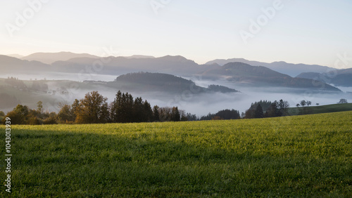 Canvas Print wafts of fog in the mountains of Austria