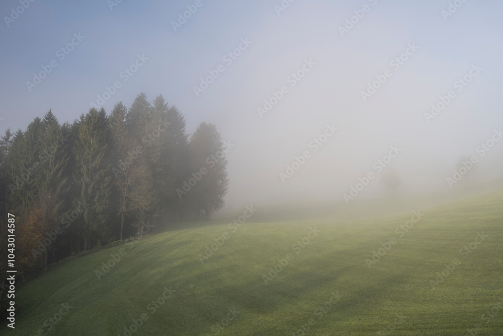Fototapeta premium wafts of fog in the mountains of Austria