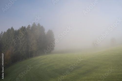 wafts of fog in the mountains of Austria