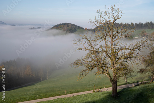 wafts of fog in the mountains of Austria photo