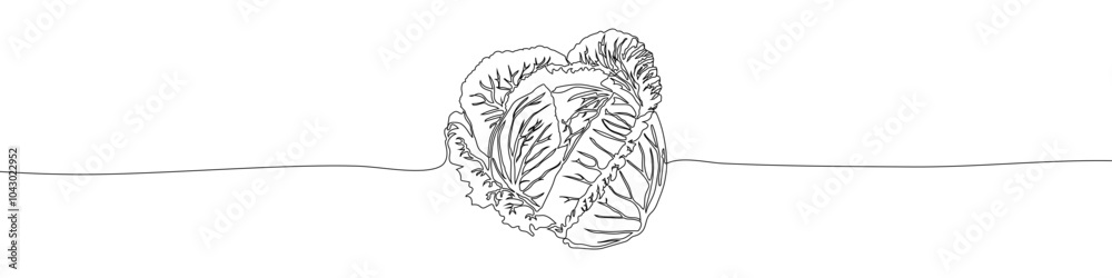 Fototapeta premium Cabbage continuous one line drawing vector illustration. Summer organic natural vegetable sign vector illustration